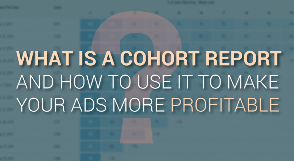 What is a Cohort Report