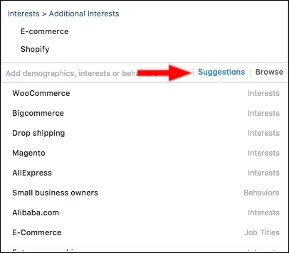 Ecommerce FB Audience Suggestions